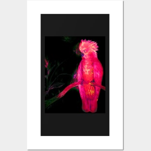 BRIGHT PINK TROPICAL COCKATOO PARROT ISLAND EXOTIC BIRD PALM POSTER PRINT Posters and Art